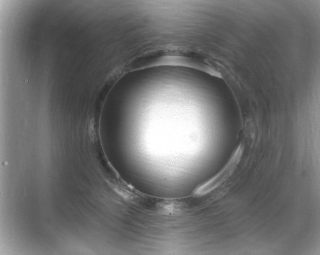 X0000069400564200605121218