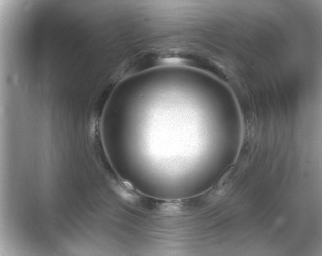 X0000069400574200605121218