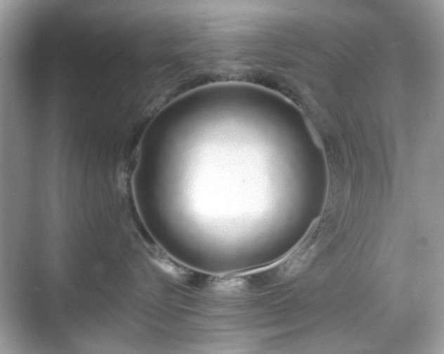 X0000069400576200605121218