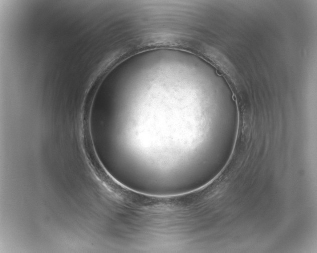 X0000069400578200605121218