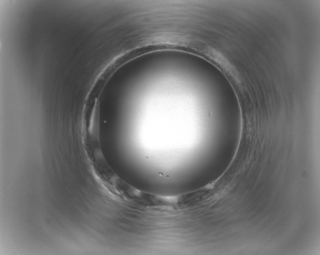 X0000069400580200605121217
