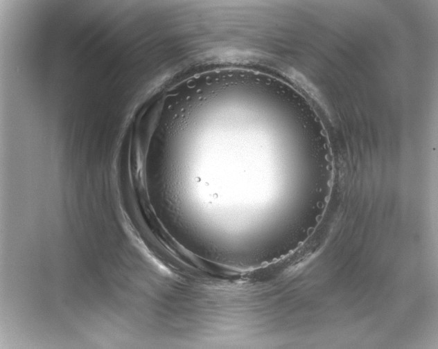 X0000069400581200605121217