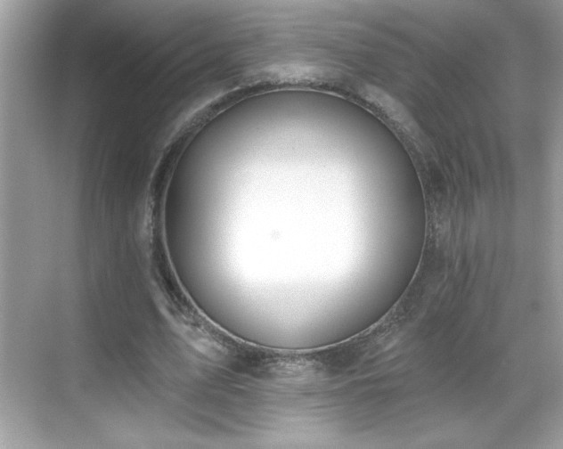 X0000069400583200605121217