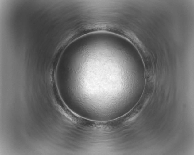 X0000069400585200605121217