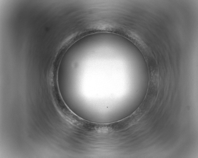X0000069400587200605121217