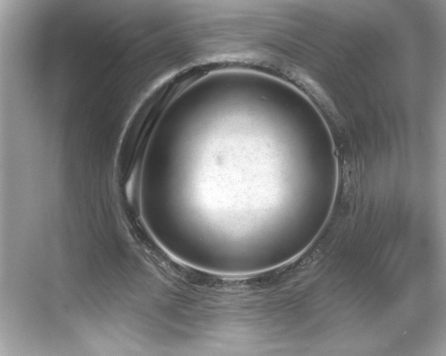 X0000069400628200605121216