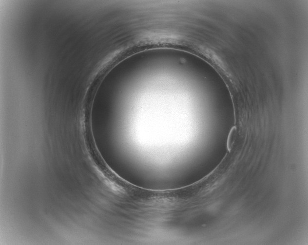 X0000069400629200605121216