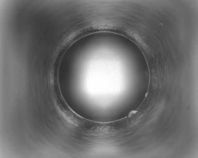 X0000069400631200605121216