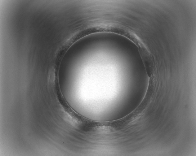 X0000069400637200605121216