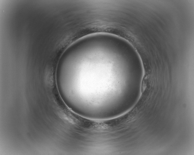 X0000069400642200605121216