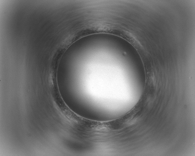 X0000069400643200605121216