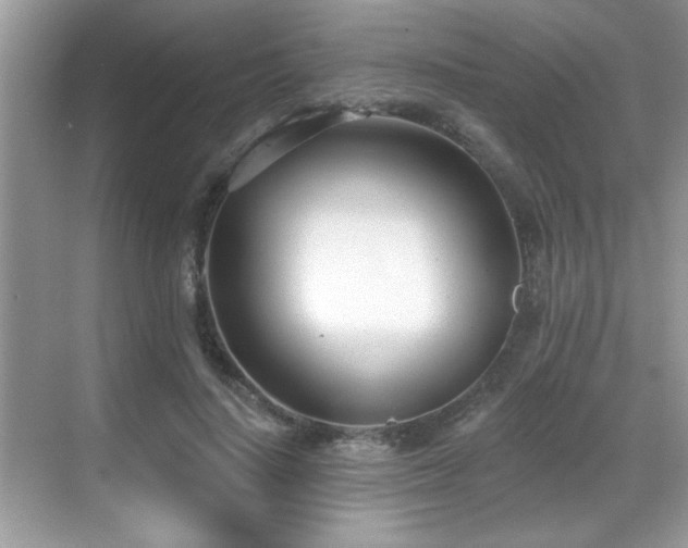 X0000069400644200605121216