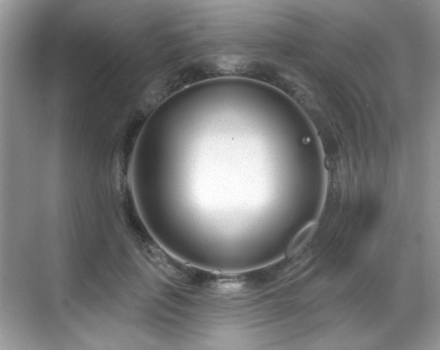 X0000069400651200605121216
