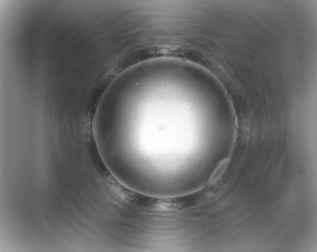 X0000069400657200605121216