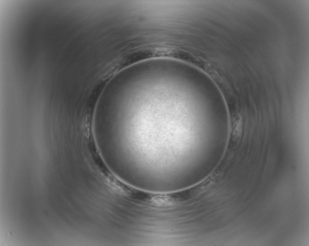 X0000069400666200605121217