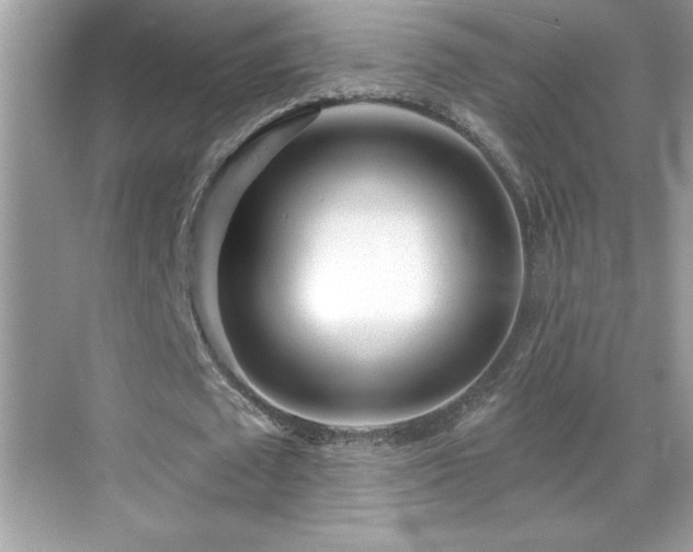 X0000069400673200605121216