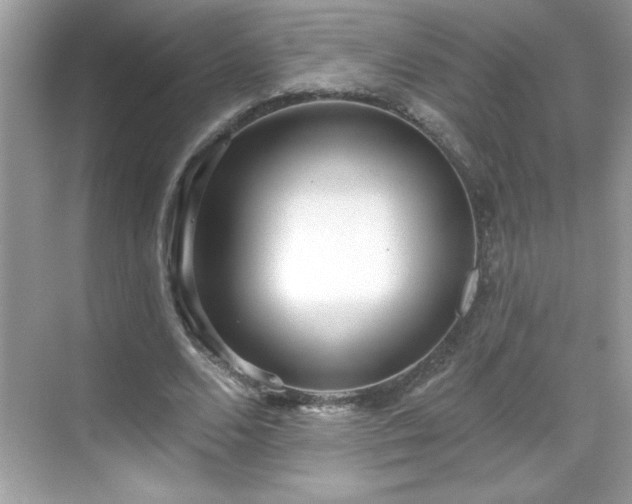 X0000069400680200605121216