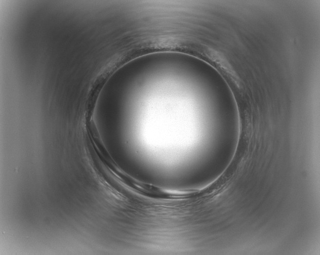 X0000069400681200605121216
