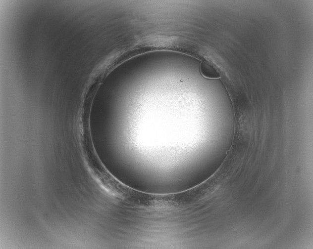 X0000069400682200605121216