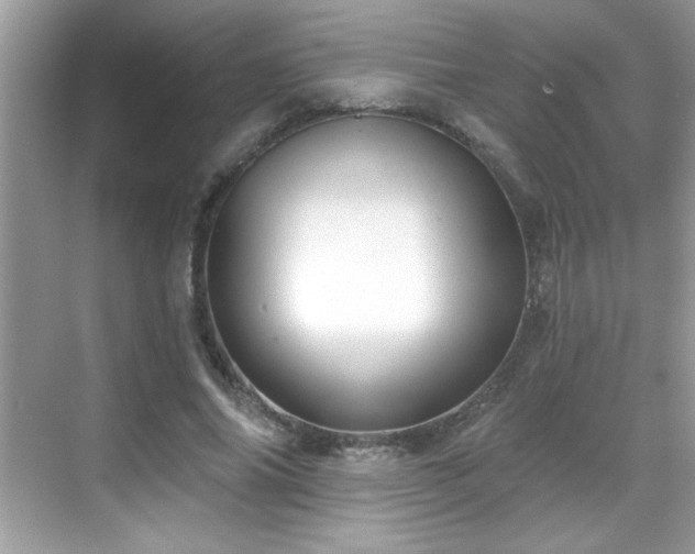 X0000069400686200605121216