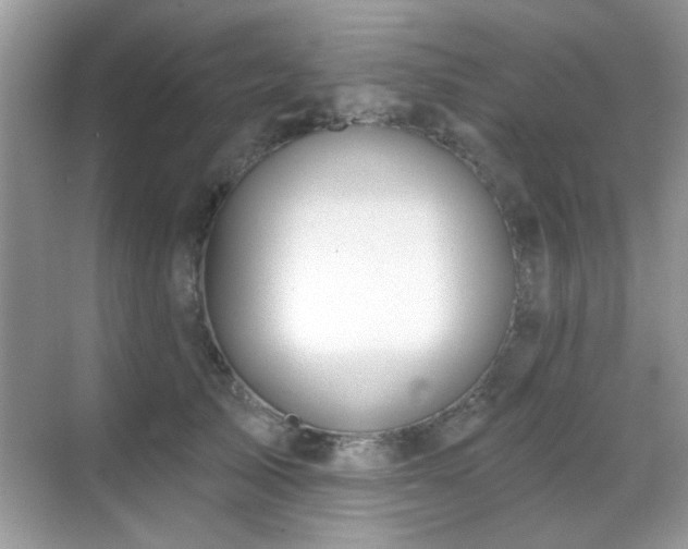 X0000069400705200605121215