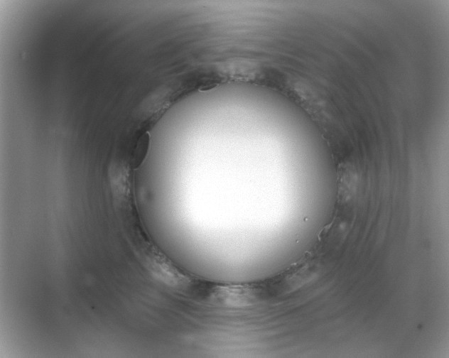 X0000069400713200605121215