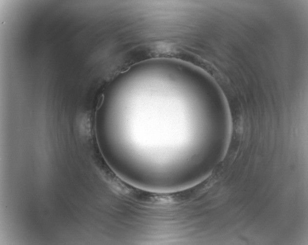 X0000069400715200605121215