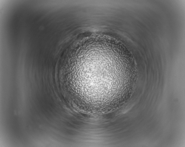 X0000069400720200605121215