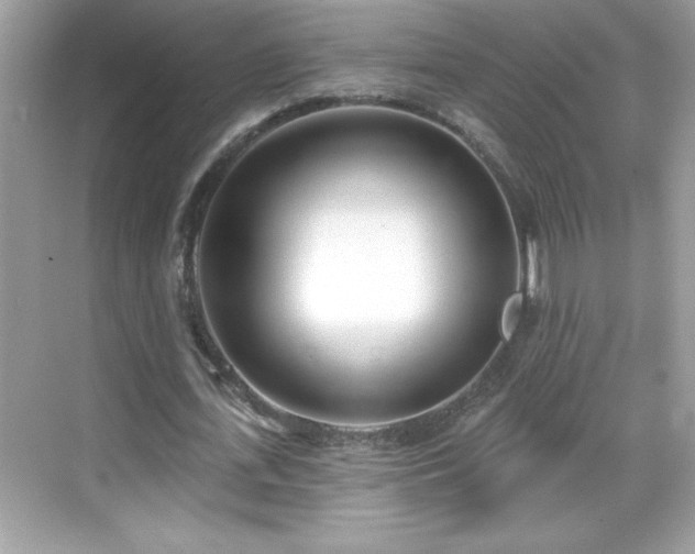 X0000069400723200605121214