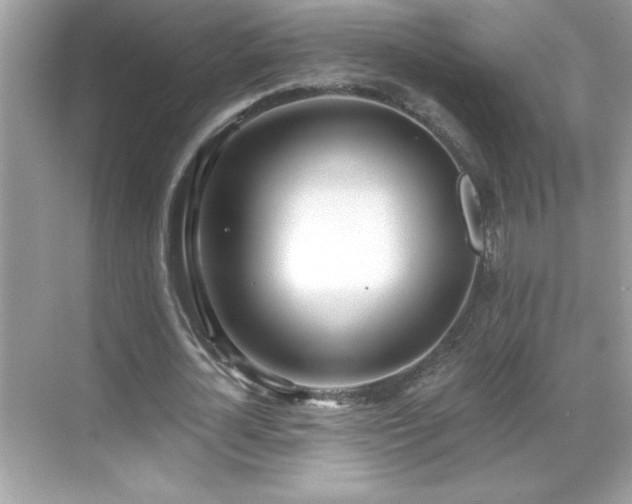 X0000069400724200605121214