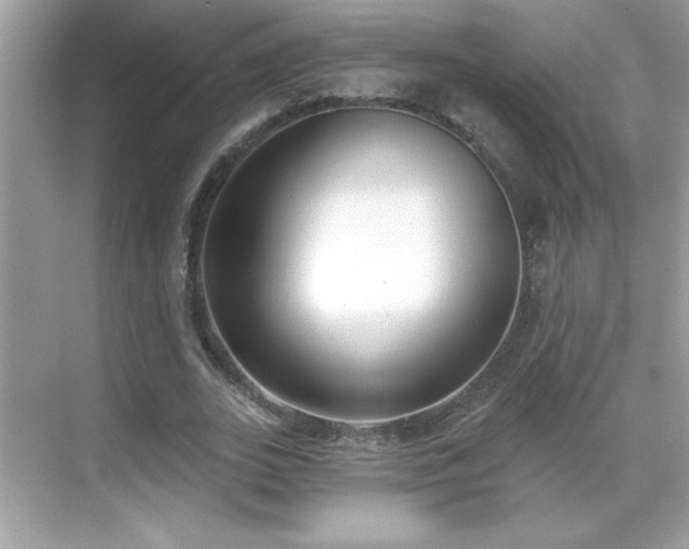 X0000069400727200605121214