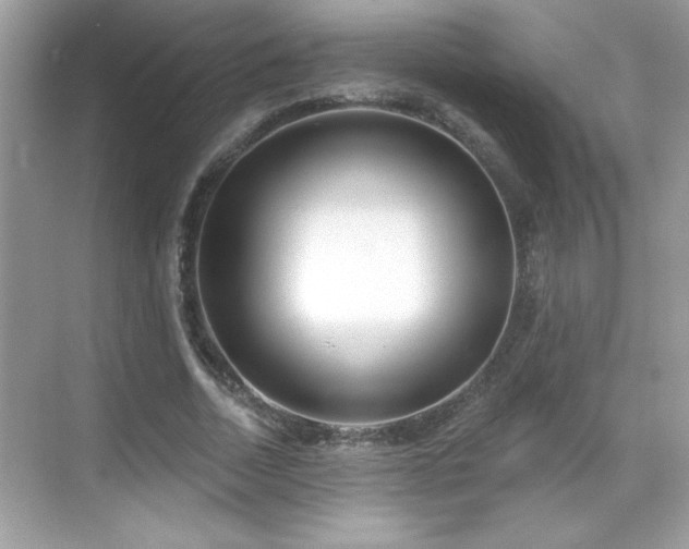 X0000069400730200605121214