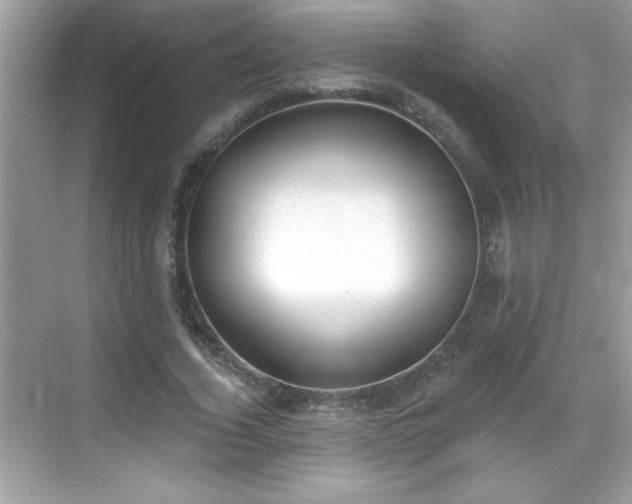 X0000069400732200605121214