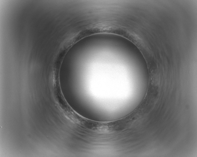 X0000069400740200605121215