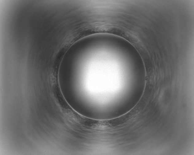 X0000069400743200605121215