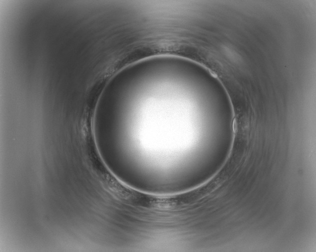 X0000069400746200605121215