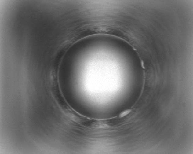 X0000069400747200605121215