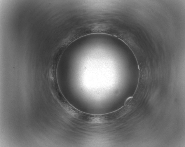 X0000069400755200605121215