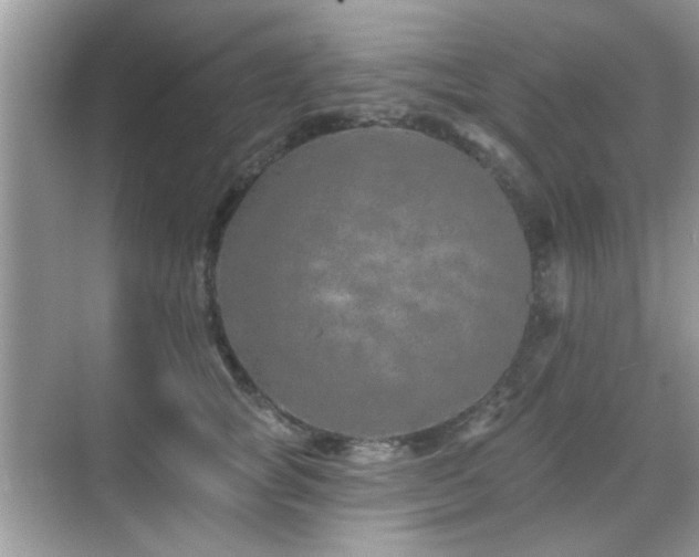 X0000069400757200605121215