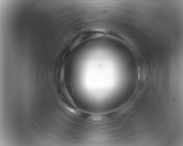 X0000069400766200605121215