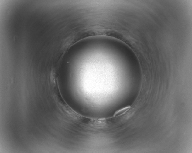 X0000069400768200605121215