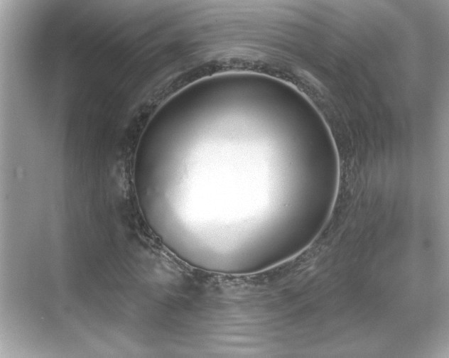 X0000069400774200605121214