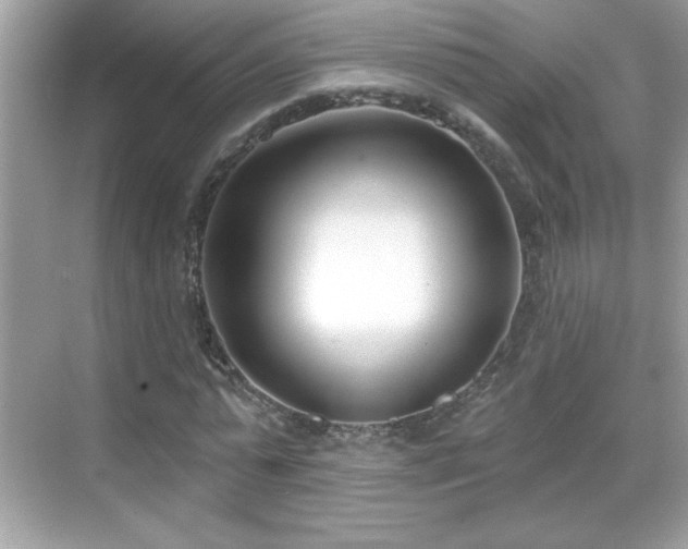 X0000069400775200605121214