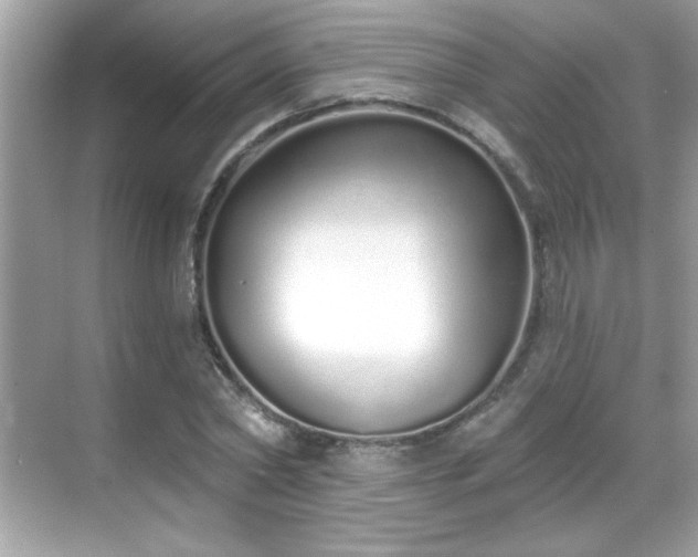 X0000069400782200605121214
