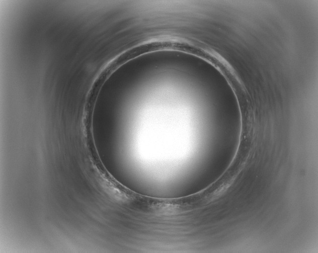 X0000069400783200605121214