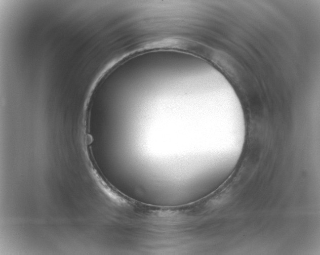X0000069400800200605121214