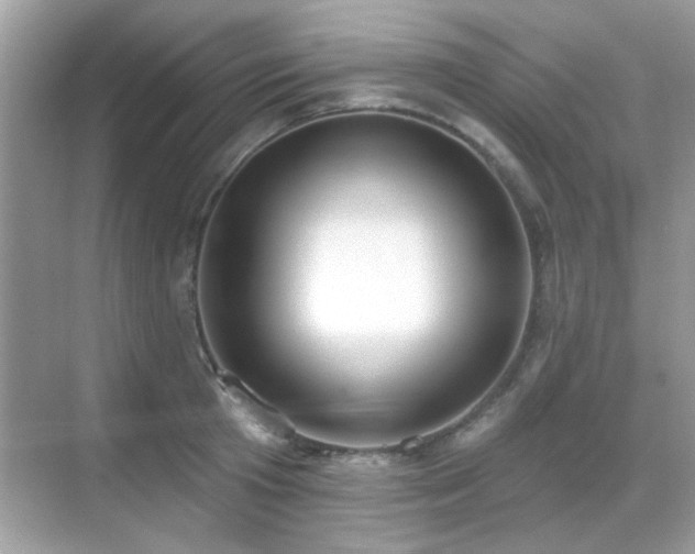 X0000069400801200605121214