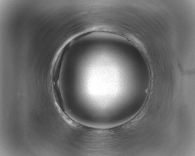 X0000069400816200605121213