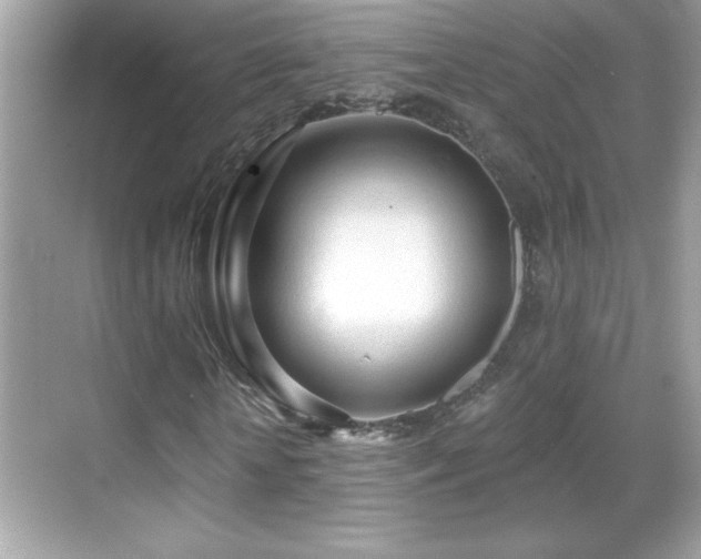 X0000069400818200605121213