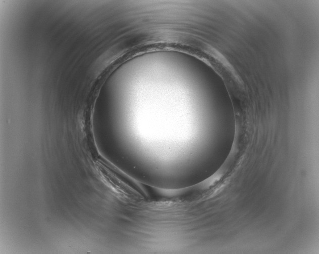 X0000069400826200605121213